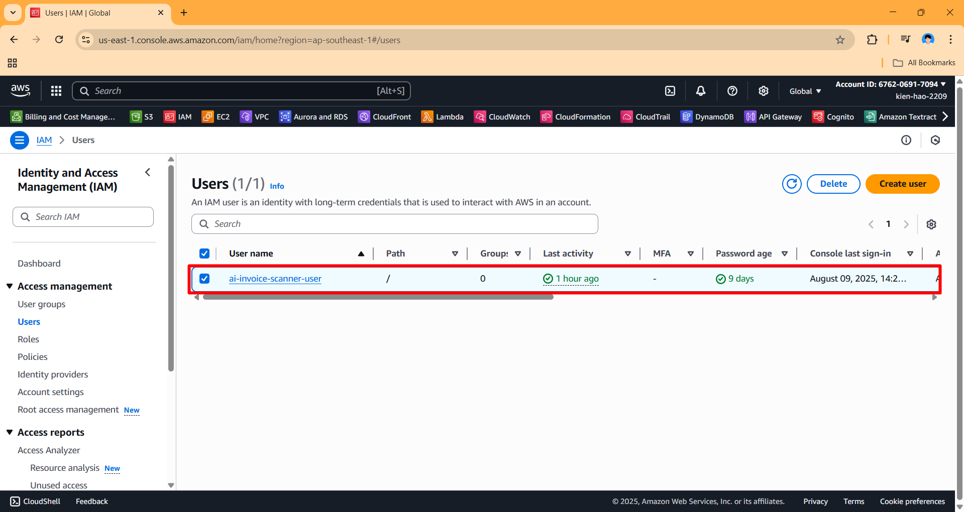 Remove IAM User and Policy